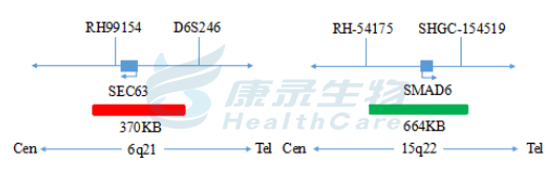 中国·拉斯维加斯(3499·官方认证)网站-Officialwebsite